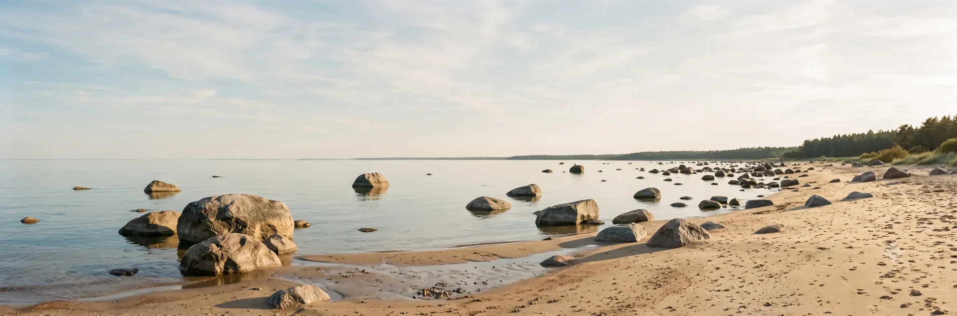 Zen Visio: suund ja selgus